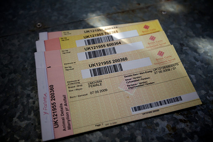 Jay Rayner on On the Hoof: cattle passports