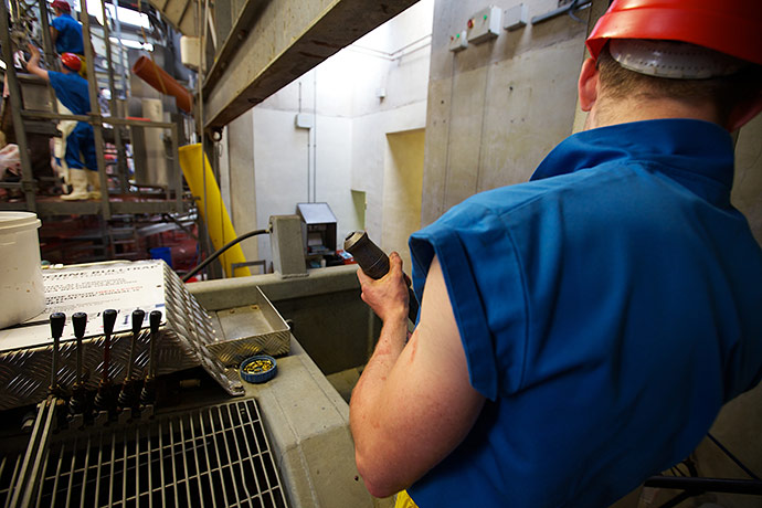 Jay Rayner on On the Hoof: The bolt gun used to kill the cattle 