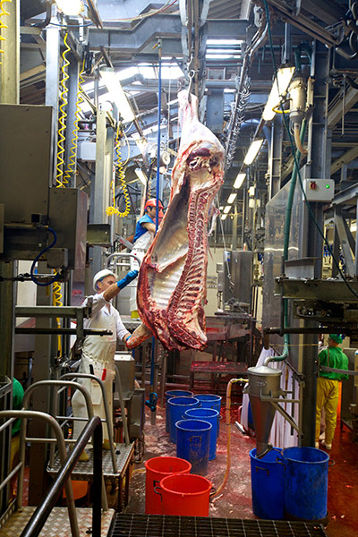 Jay Rayner on On the Hoof: Cleaning the carcasses minutes after slaughter