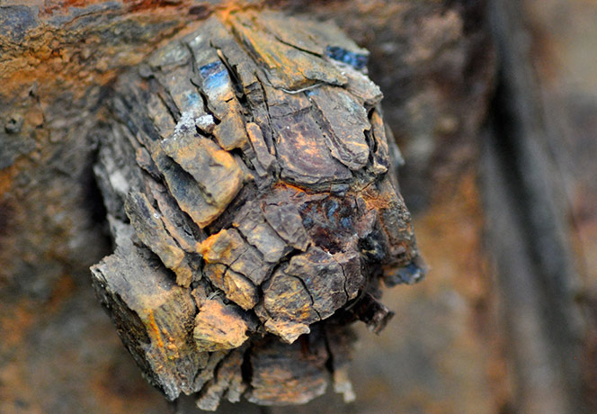 Camera Club: Peter Gray participates in the texture photography monthly assignment