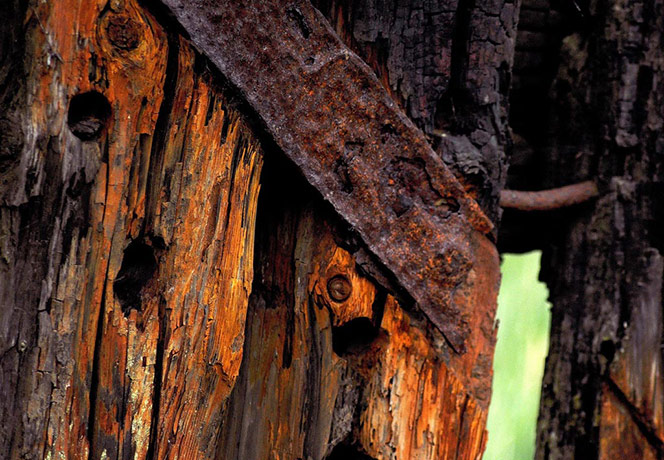 Camera Club: Peter Gray participates in the texture photography monthly assignment