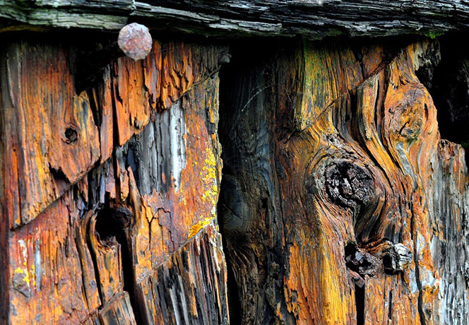 Camera Club: Peter Gray participates in the texture photography monthly assignment