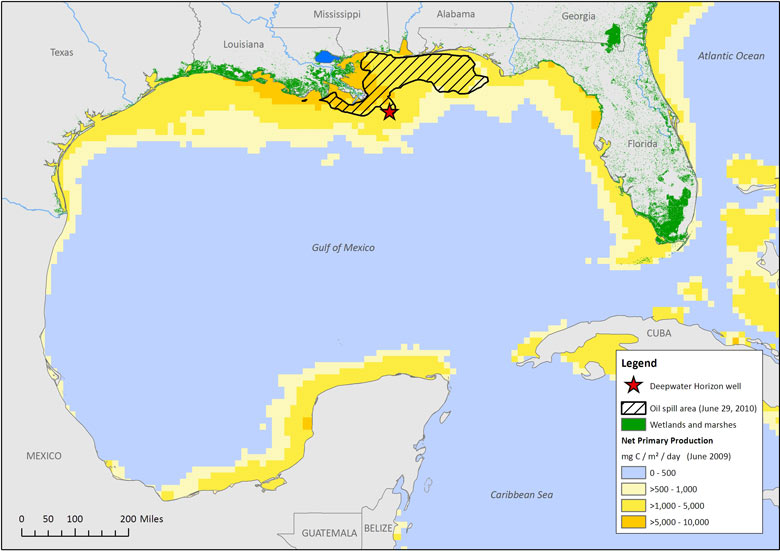 Oil Spill Map