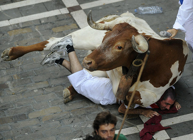 24 hours in pictures: A leading ox of the Cebada Gago fighting