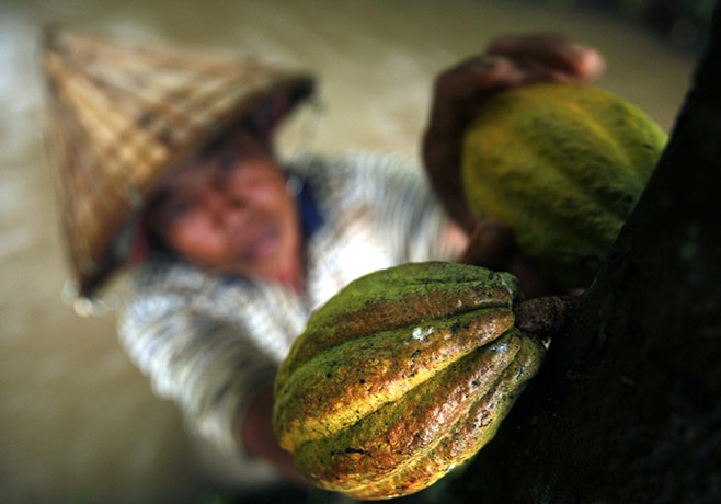 Business week in pictures: Members of London's futures exchange push for a review of the cocoa market