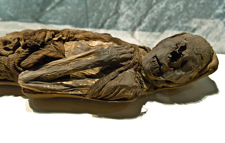 Mummies of the World: exhibition in California Science Center, Los Angeles, USA