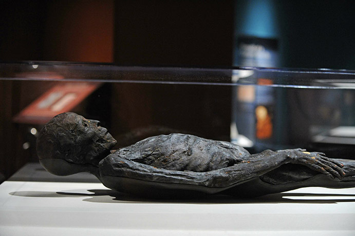 Mummies of the World: Exhibition at California Science Center in Los Angeles, USA