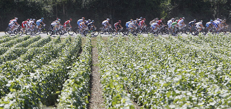 TDF stage 5: Pelaton rides through a vineyard