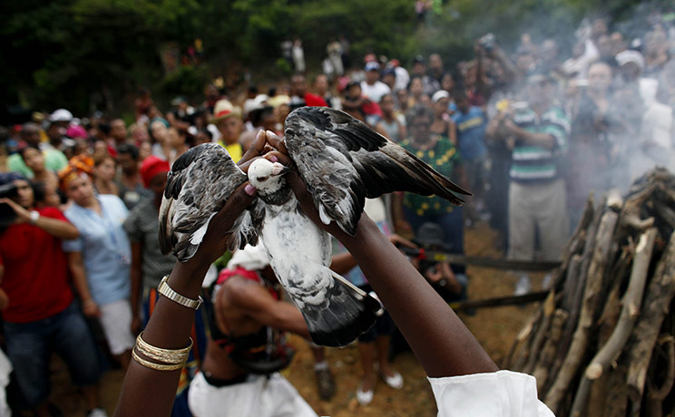 24 hours in pictures: Loma del Cimarron, Cuba: A Santero dancer holds up a pigeon