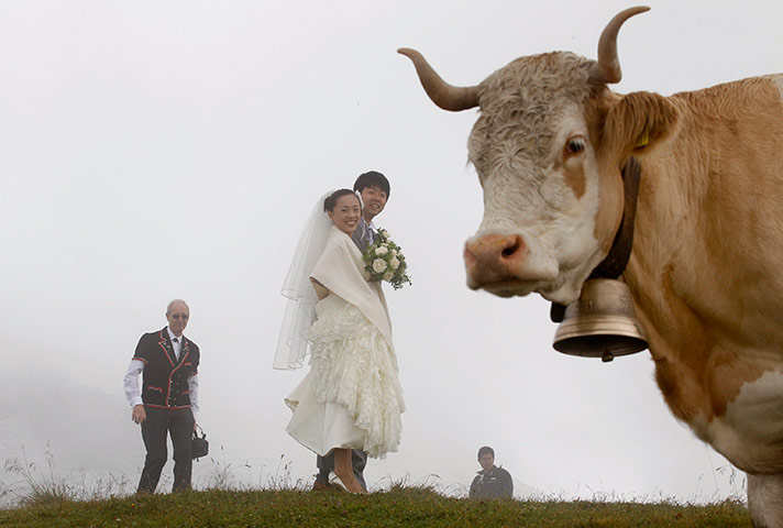 24 hours: Japanese couple wed in Grindelwald switzerland