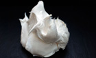 How to make the perfect meringue