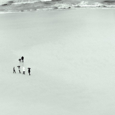 Guardian Camera Club: A review of Matt Pringle's portfolio