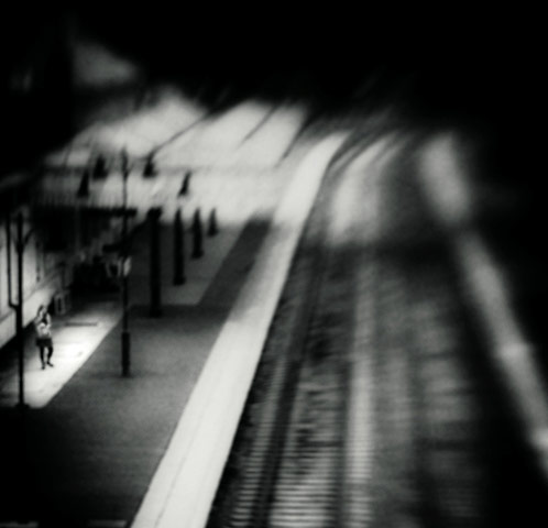 Guardian Camera Club: A review of Matt Pringle's portfolio