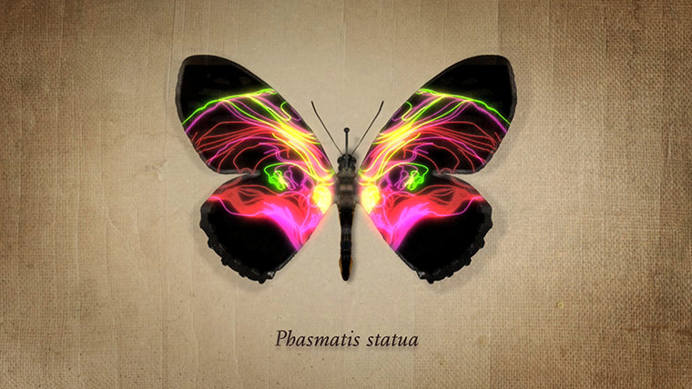 gallery 14/08: guide gallery ORIGIN010