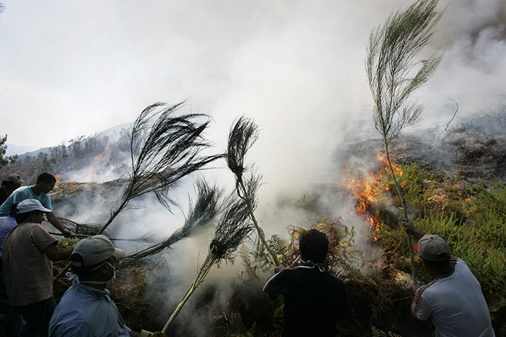 24 Hours in Pictures: People help combat a forest fire in Portugal