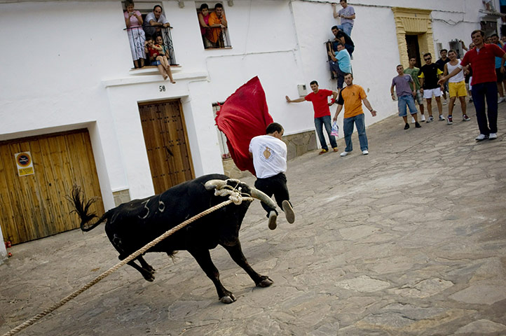 24 hours in pictures: A man runs away from a bull  in Villaluenga del Rosario, Spain