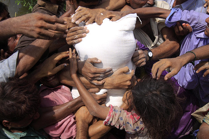 Pakistan flood survivors: Pakistani flood survivors jostle for a sack of flour 