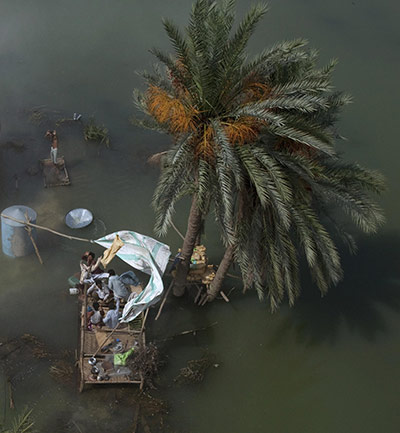 Pakistan flood survivors: Flood victims, seen from an Army helicopter, take refuge under a date tree