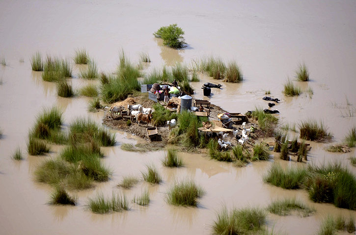 Pakistan flood survivors: Flood affected people watch an army helicopter which was dropping supplies