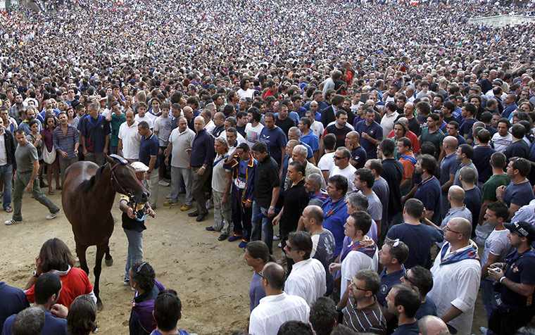 Palio race: The horse of Nicchio parish is escorted by its groom after training 