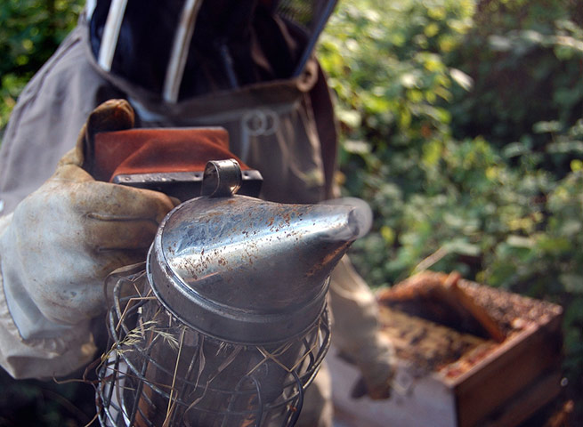 Matthew Price pet: Matthew Price camera club pet assignment