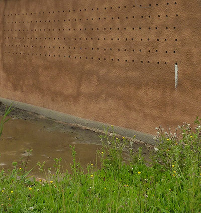 Kingfisher Hotel: Kingfishers in Cambridgeshire hosted by Natural England