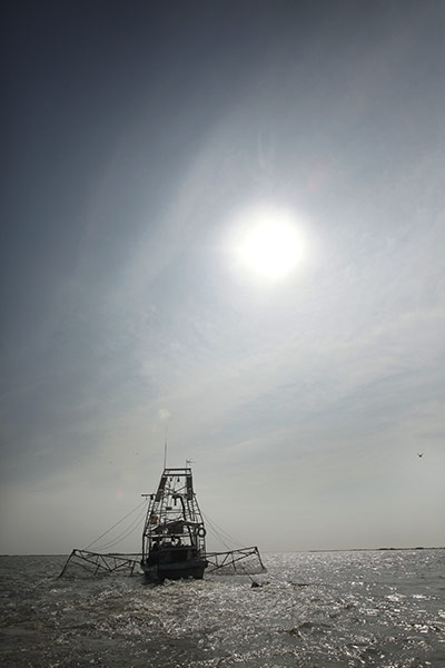 24 hours in pictures: first day of shrimping season since the Deepwater Horizon oil spill 