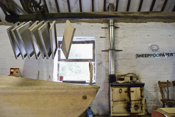 Blipfoto: Hope: Blipfoto. Friday 13 August 2010: Who's been sleeping in my bed?