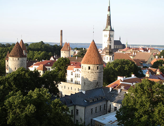 Face Hunter: Tallinn: Old Town, Tallinn
