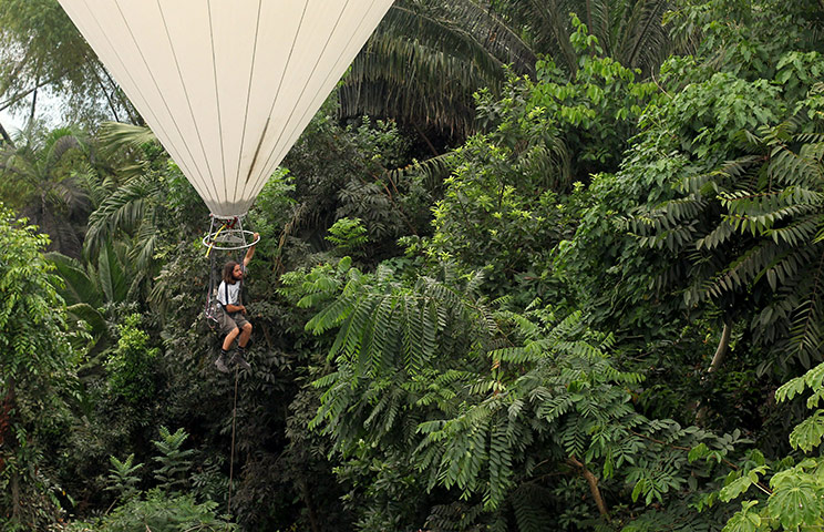 Eden Project: Gardeners At The Eden Project Use Helium Balloon To Reach Tree Tops