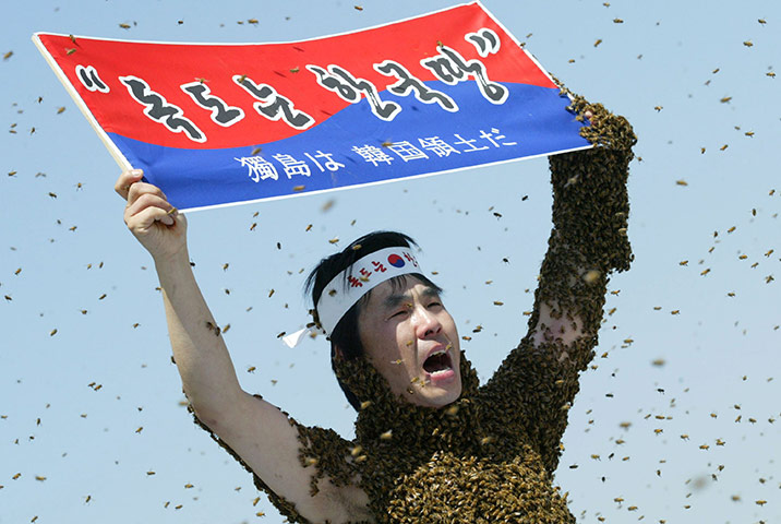 Korean Islands: South Korean bee farmer Ahn Sang-Kyu protests 