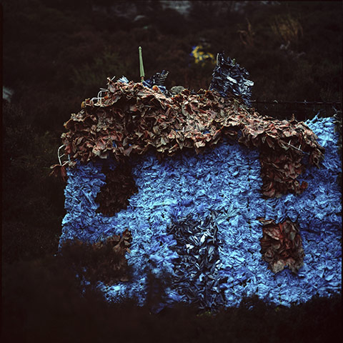 Exhibitionist 2108: Bystanding