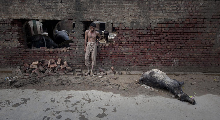 pakistan flooding:  floods in Nowshera Pakistan