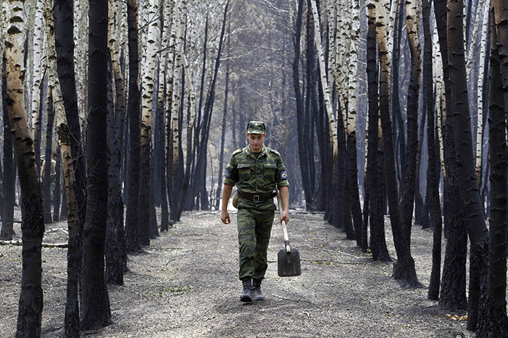 Forest fires in Russia: A soldier walks past birch trees damaged by fire, near Voronezh 