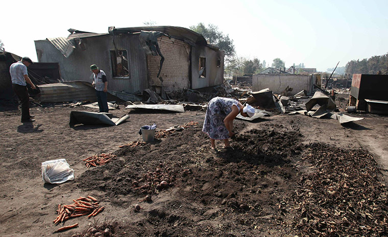 Forest fires in Russia: A woman inspects her burnt harvest in front of her destroyed house
