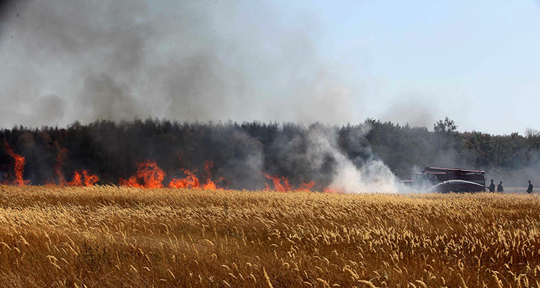 Forest fires in Russia: Firefighters try to douse a fire set at the edge of Voronezh