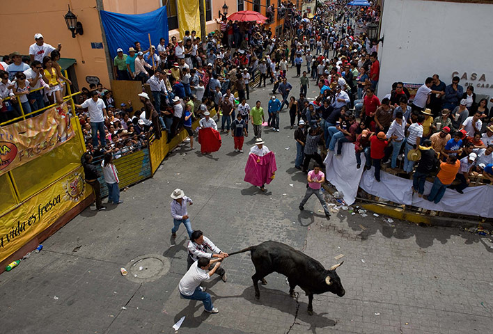24 Hours in Pictures: Running of the Bulls Event at a Festival in Huamantla, Tlaxcala, Mexico