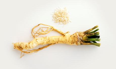Horseradish