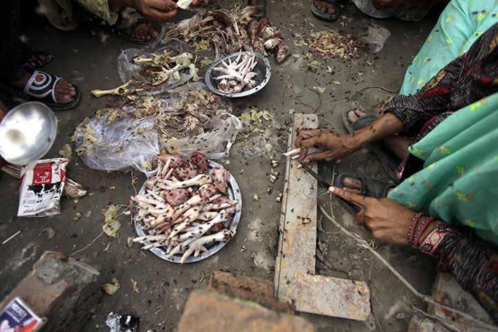 Pakistan Flood Update: People clean left over of chickens to cook their meals, Pakistan flooding  