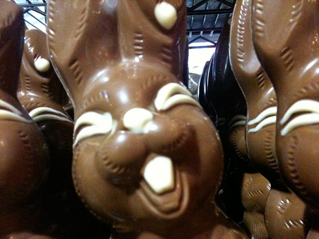 show & tell: Anderson: Easter bunnies