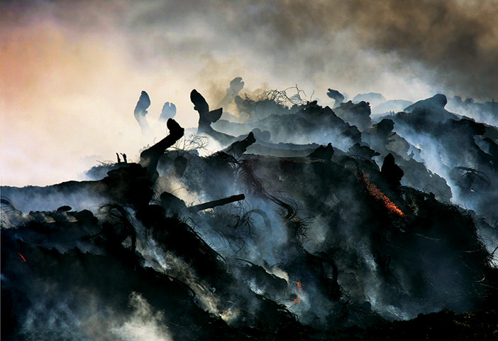 Murdo Macleod: Murdo Macleod