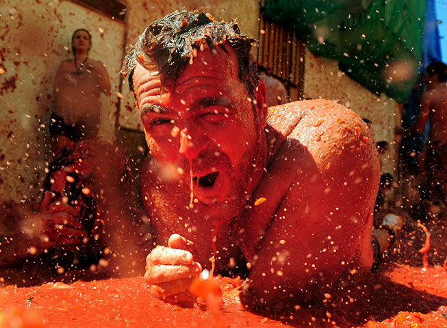 24 hours in pictures: Tomatina Festival