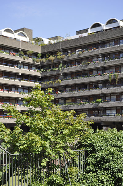 Camera Club: The new housing assignment