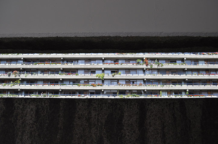 Camera Club: The new housing assignment