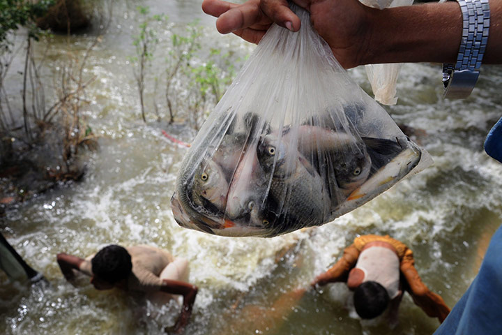 24 hours: Basera, Pakistan: Children catch fish in flood water near Muzaffargarh