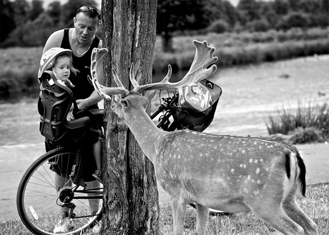 Blipfoto: Blipfoto: Saturday 28 August 2010