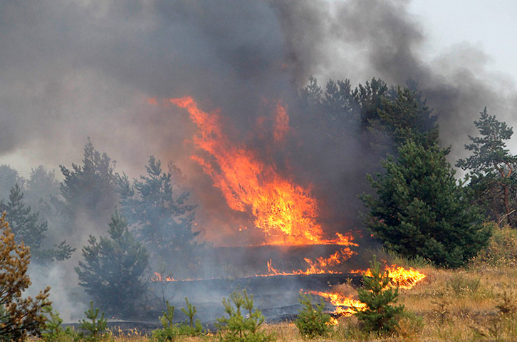 russian fire update: A forest is on fire outside the town of Novovoronezh, Russia