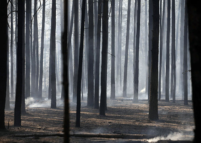 russian fire update:  trees is seen filled with drifting smoke on the outskirts of  Voronezh