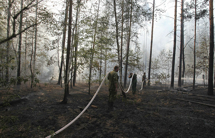 russian fire update: Russian firefighters work to put out fires in forests of Voronezh