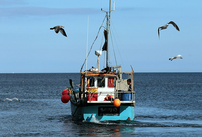 Helston fishing: A fishing boat leaves Cadgwith cove